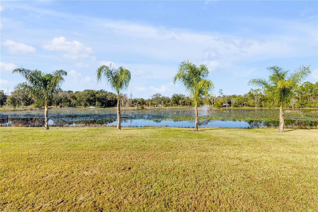 House in Seville, Florida, United States 5 - 17180708