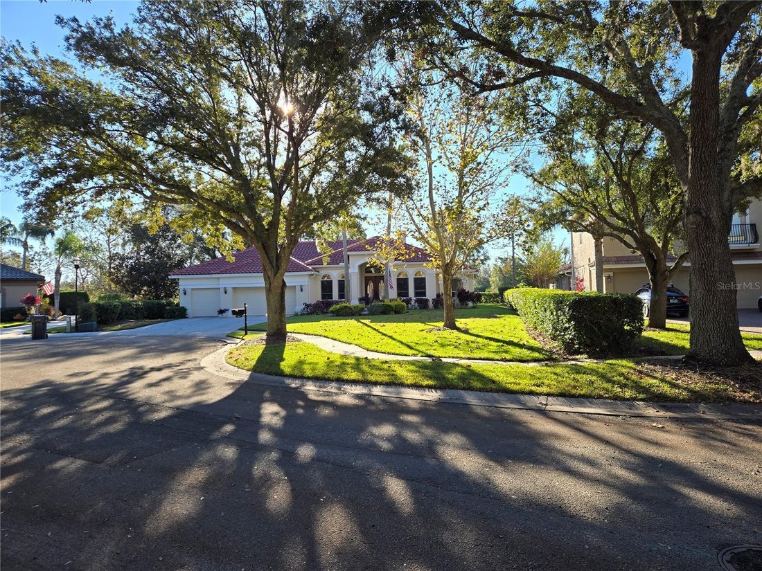 House in Tampa, Florida, United States 4 - 17186771
