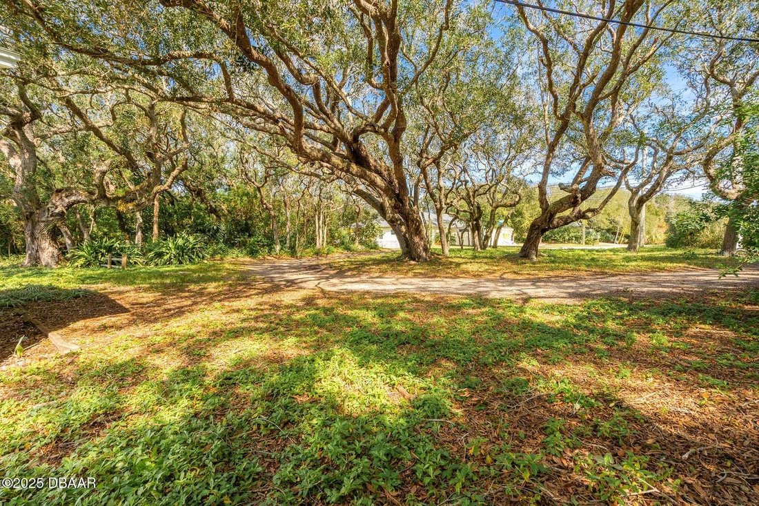 House in Port Orange, Florida, United States 3 - 17180971