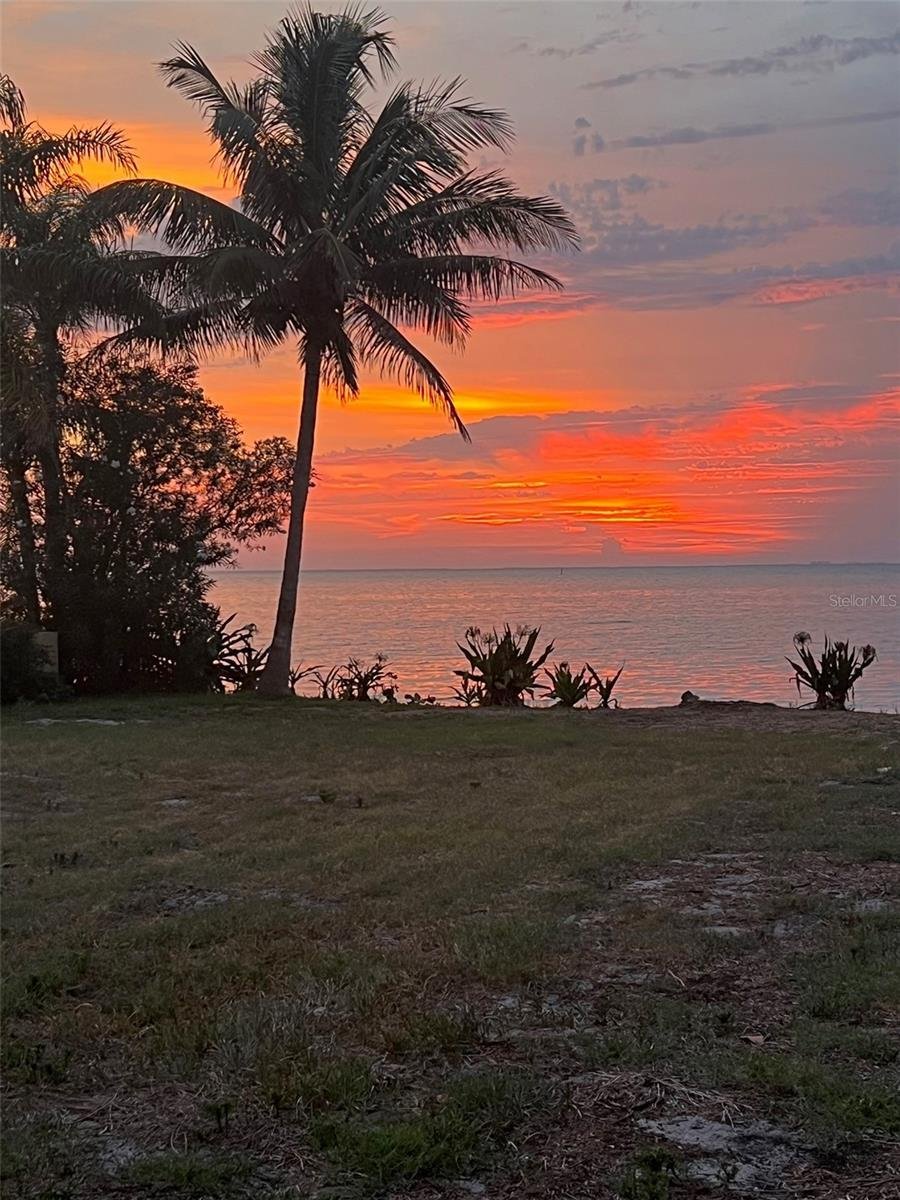 House in Apollo Beach, Florida, United States 4 - 17182368