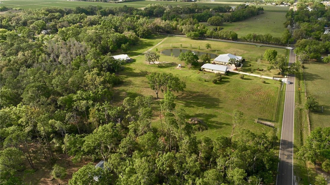House in Plant City, Florida, United States 4 - 17184738