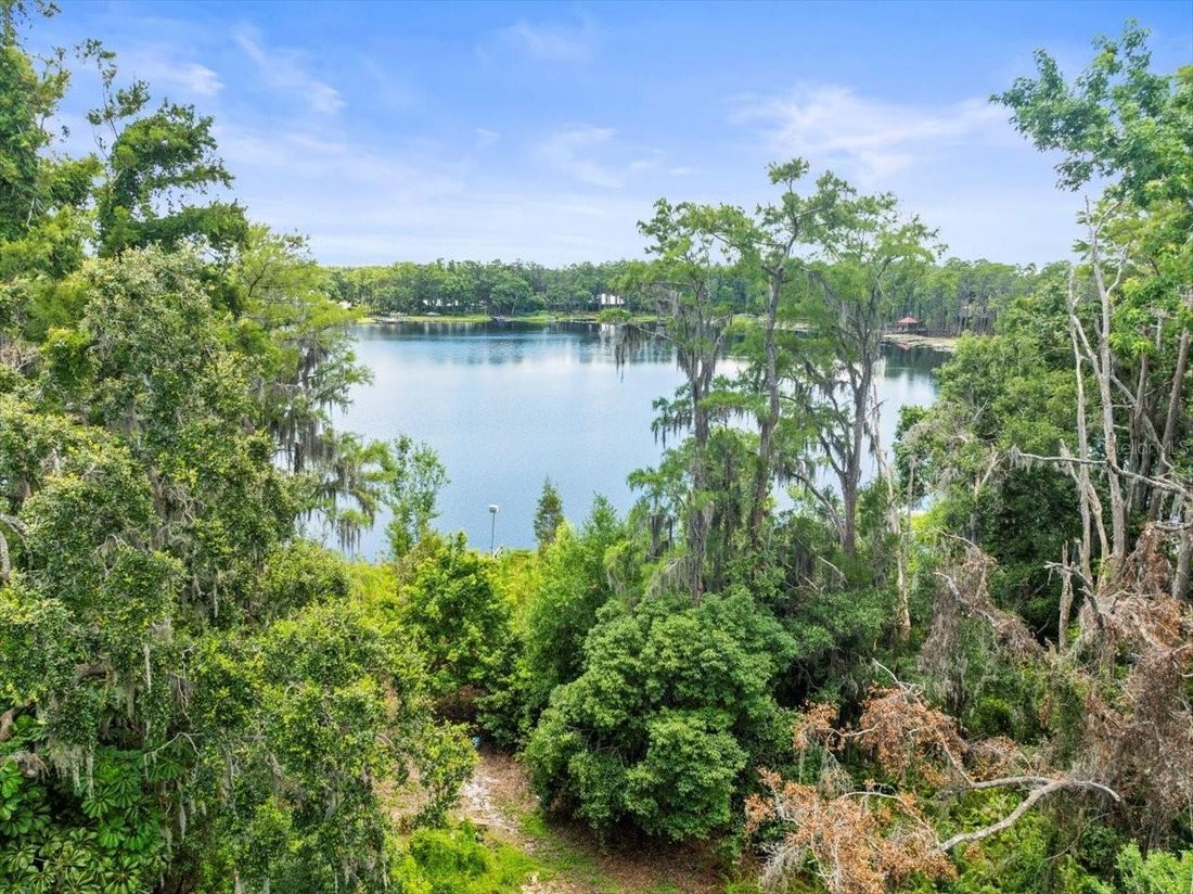 House in Odessa, Florida, United States 5 - 17186165