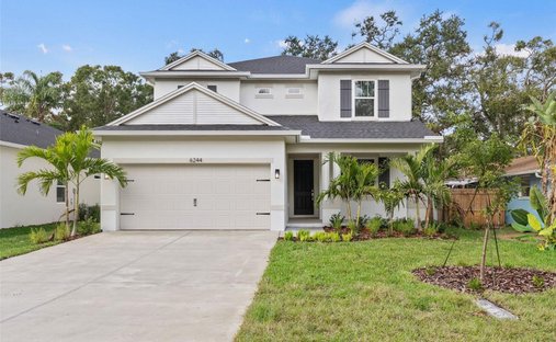 House in St. Petersburg, Florida, United States 1
