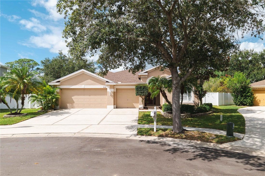 House in Tampa, Florida, United States 2 - 17180579