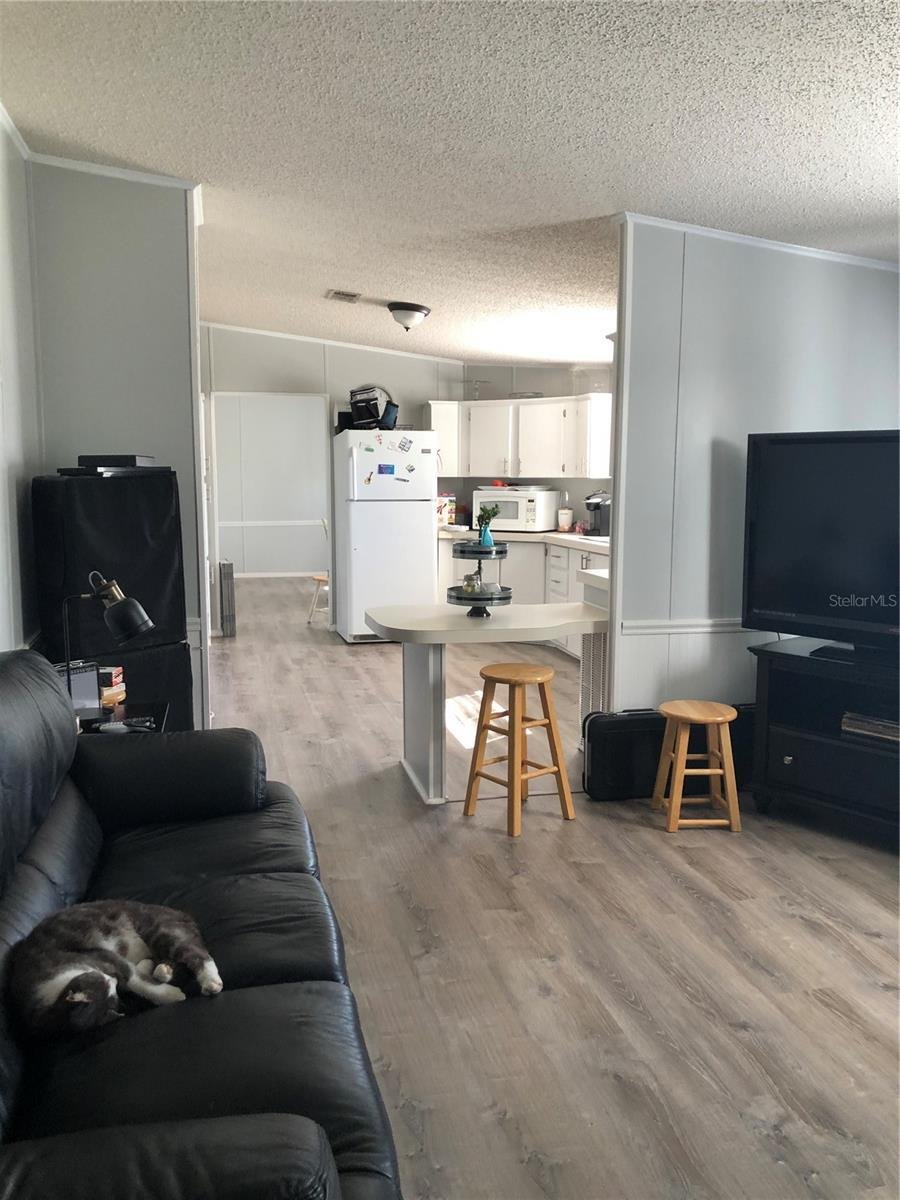 Wesley Chapel, Florida, United States 3 - 17185651