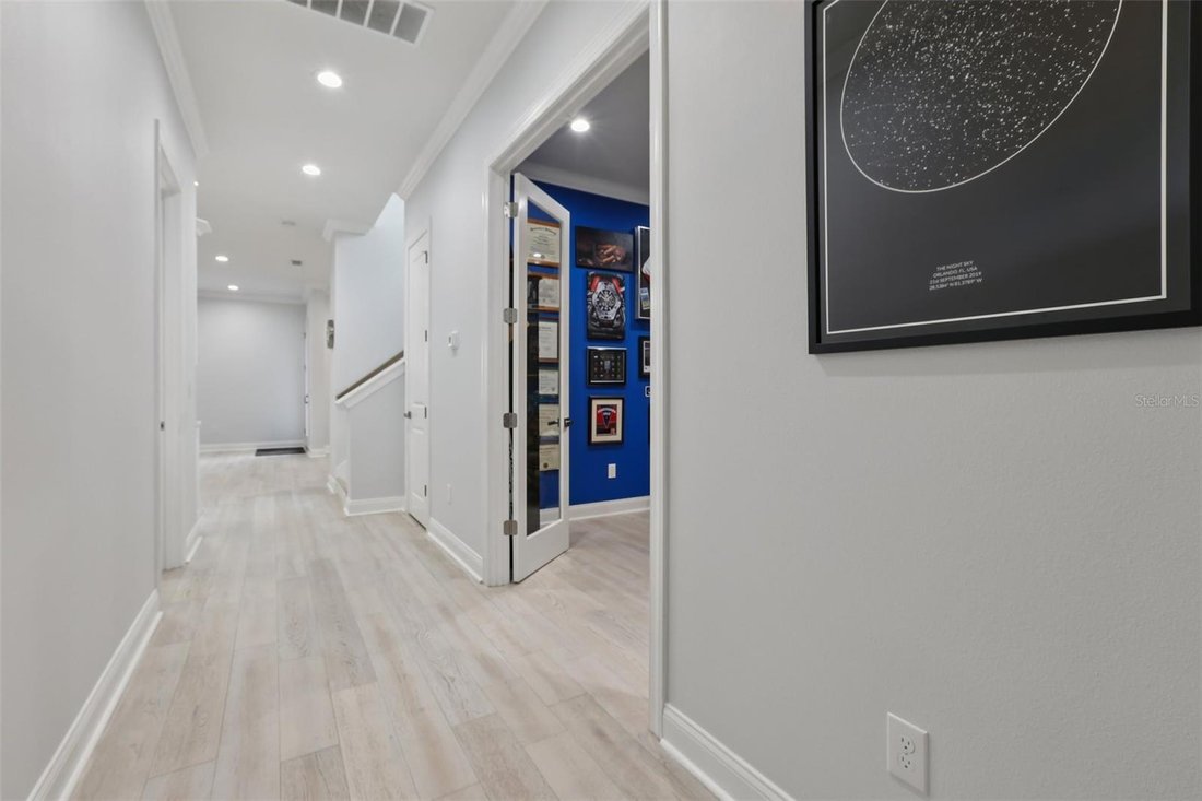 House in Tampa, Florida, United States 4 - 17179899