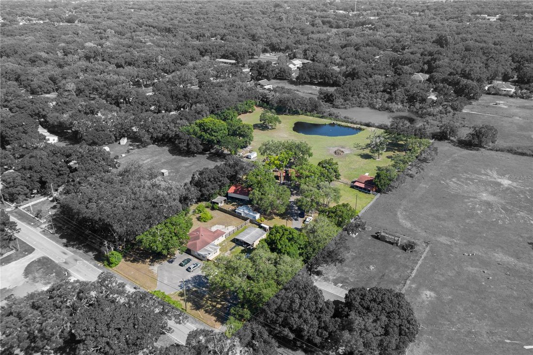 House in Tampa, Florida, United States 2 - 17187030