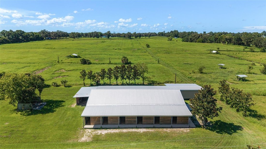 Farm Ranch in Belleview, Florida, United States 2 - 17179738
