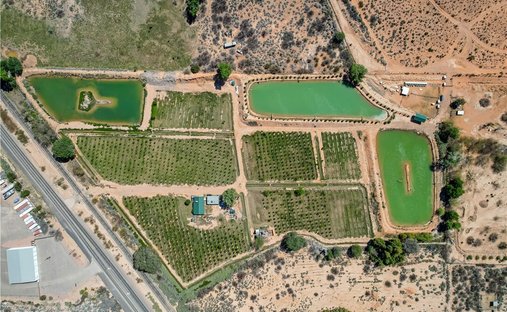 House in Moapa Valley, Nevada, United States 1