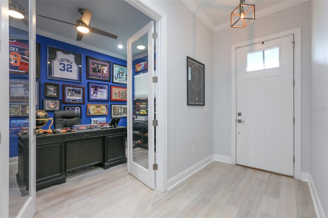 House in Tampa, Florida, United States 3 - 17179899