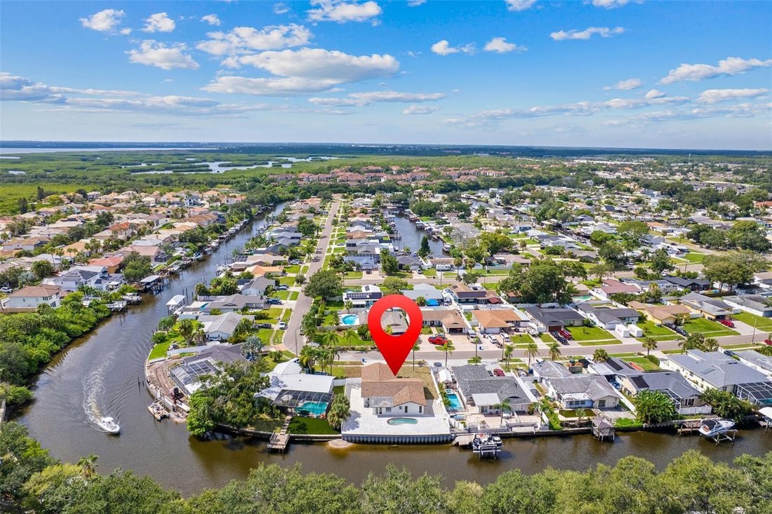 House in Tampa, Florida, United States 3 - 17186327
