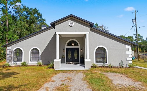 House in Wesley Chapel, Florida, United States 1