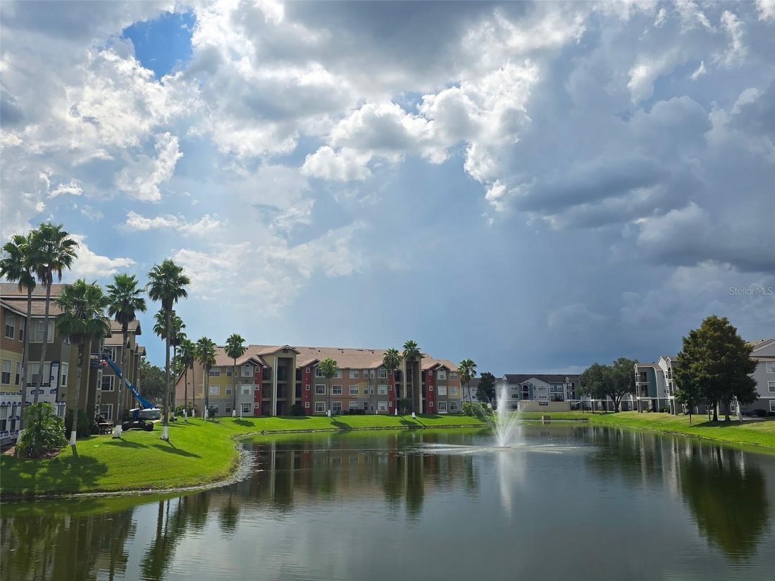 Kissimmee, Florida, United States 2 - 17178561