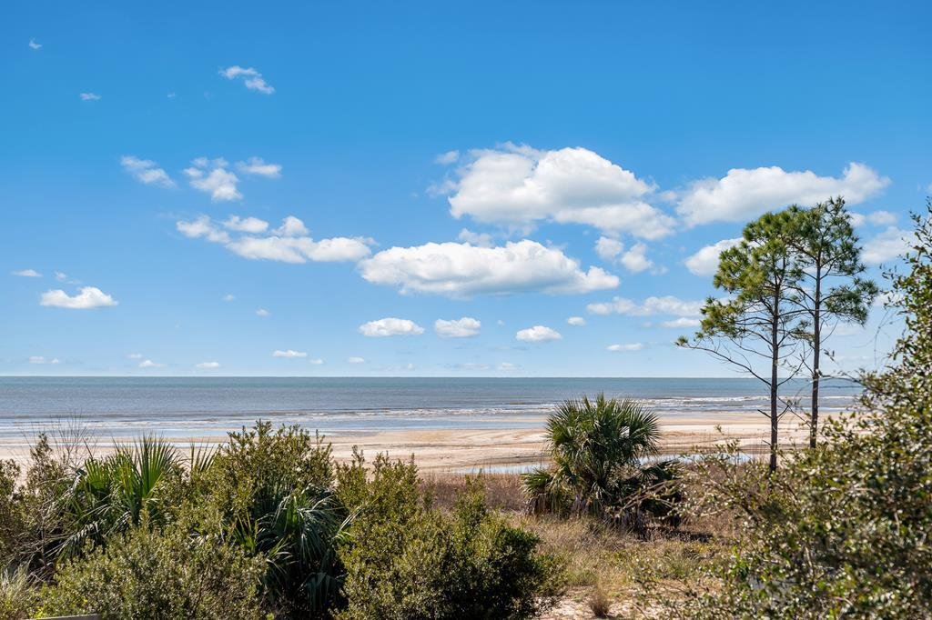 House in Port St. Joe, Florida, United States 3 - 17161800
