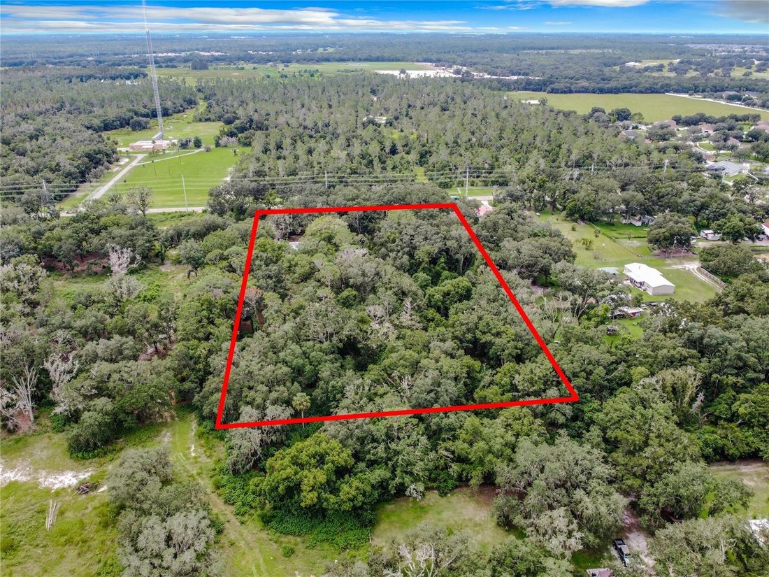 House in Riverview, Florida, United States 3 - 17186754