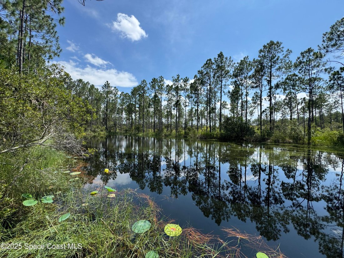 House in Mims, Florida, United States 3 - 17162745