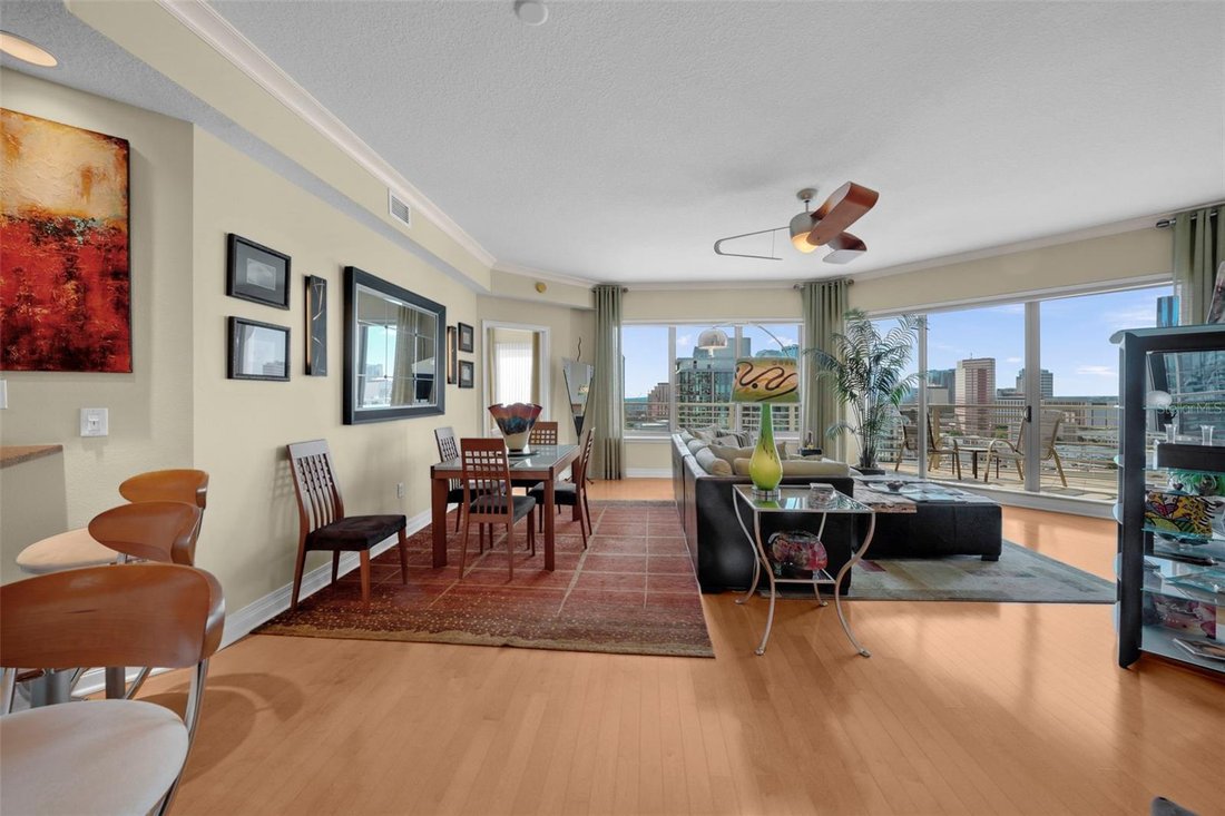 Condo in Tampa, Florida, United States 5 - 17180519