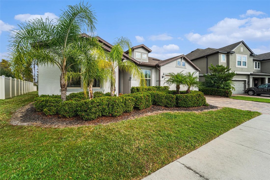 House in Tampa, Florida, United States 2 - 17182477
