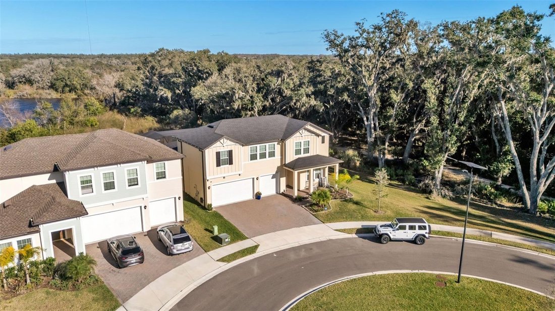 House in Riverview, Florida, United States 5 - 17185244