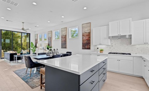 House in Austin, Texas, United States 1