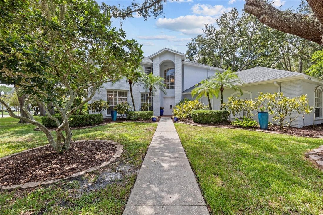 House in Oldsmar, Florida, United States 3 - 17182249