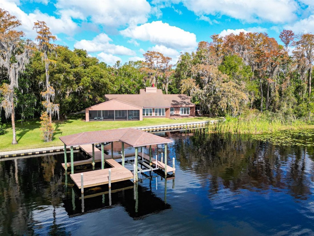 House in Odessa, Florida, United States 1 - 17186429
