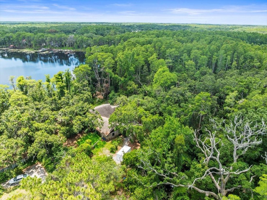 House in Odessa, Florida, United States 4 - 17186165