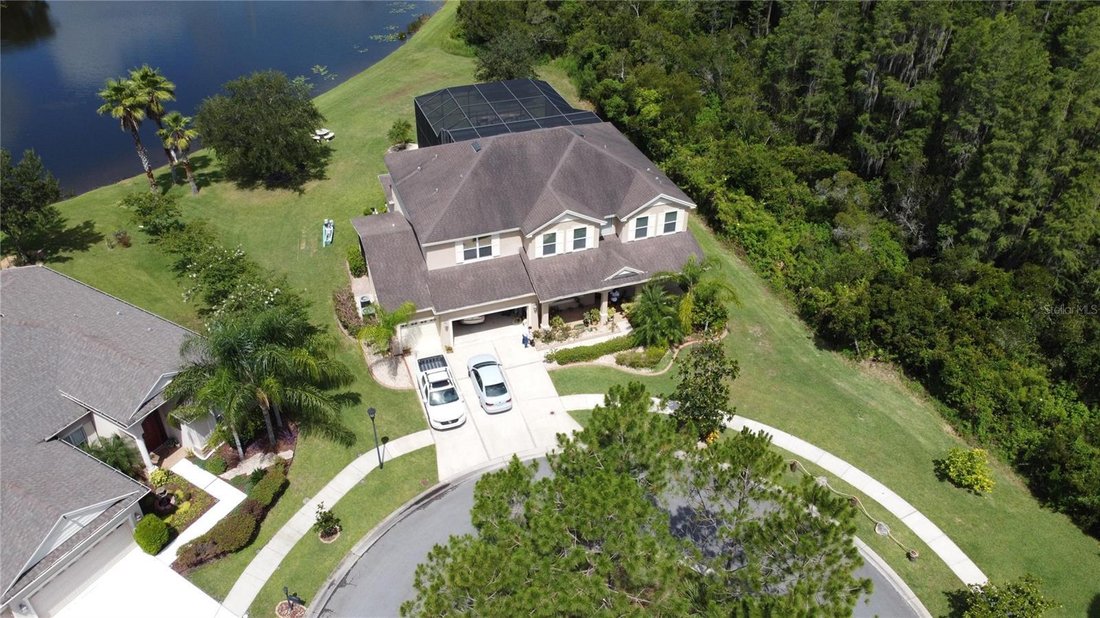 House in Tampa, Florida, United States 1 - 17179060