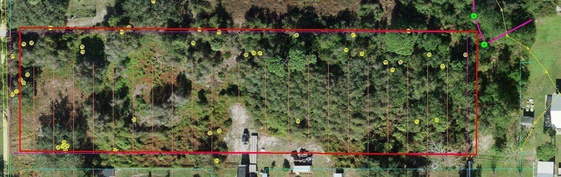 St. Cloud, Florida, United States 5 - 17181935