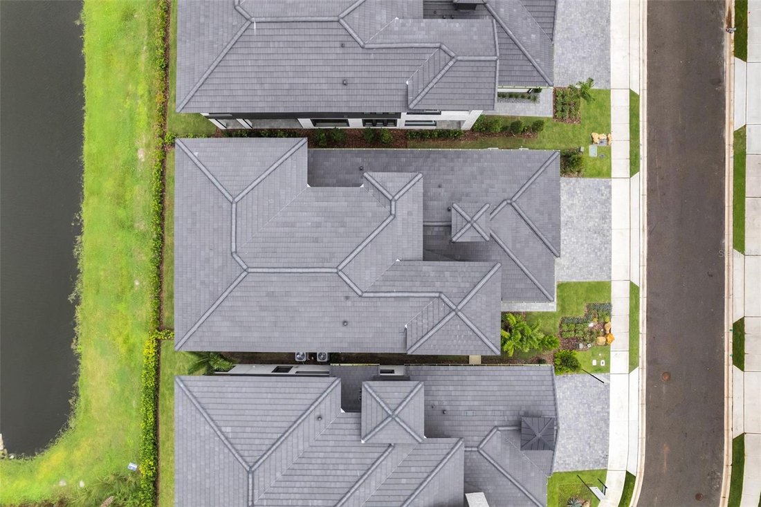 House in Davenport, Florida, United States 5 - 17184466