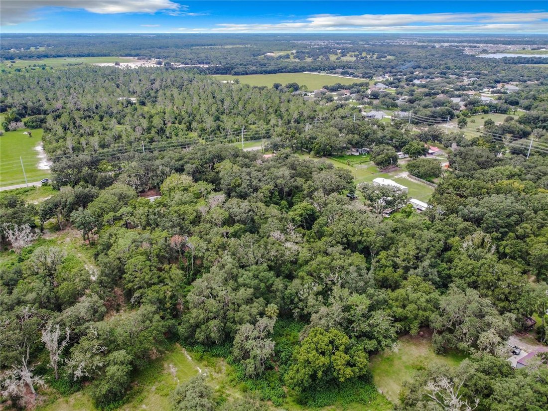 House in Riverview, Florida, United States 4 - 17186754