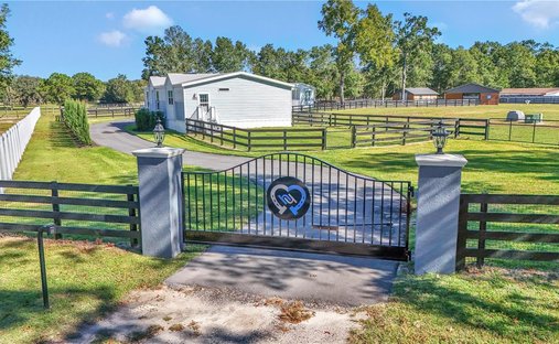 Ocala, Florida, United States 1