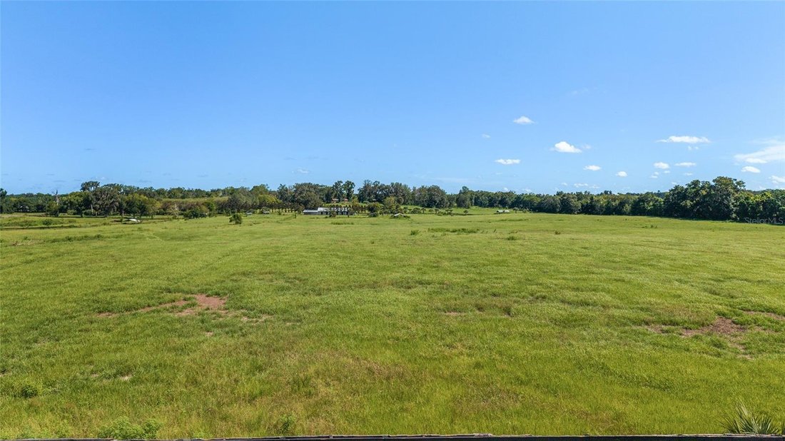 Farm Ranch in Belleview, Florida, United States 5 - 17179738