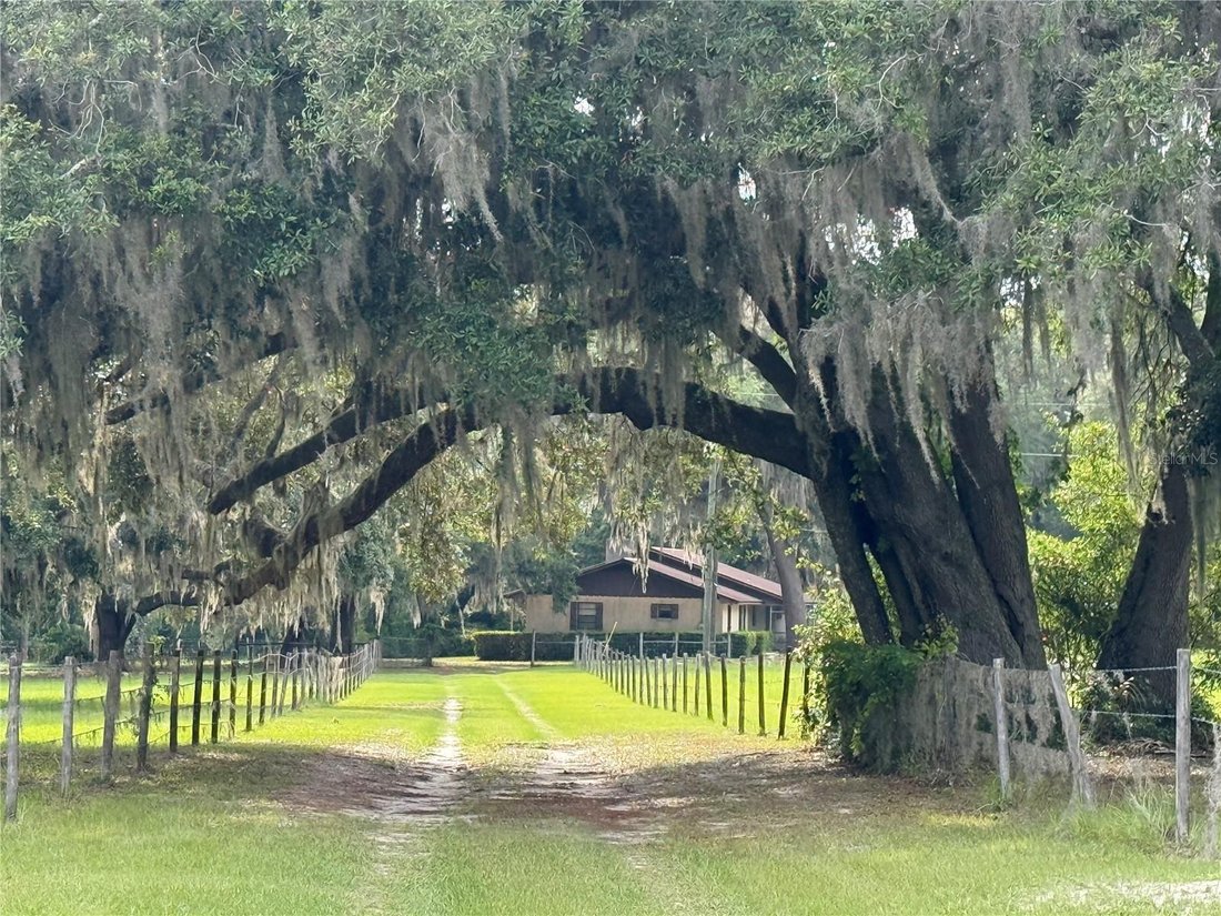 House in Palatka, Florida, United States 1 - 17178384