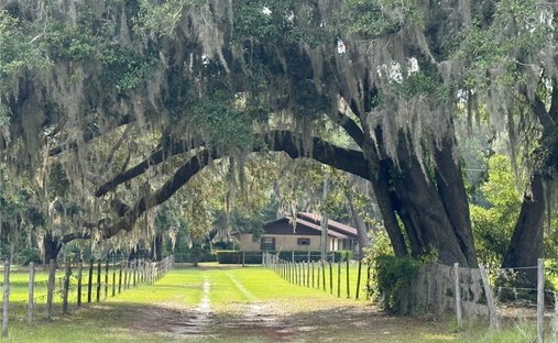 House in Palatka, Florida, United States 1