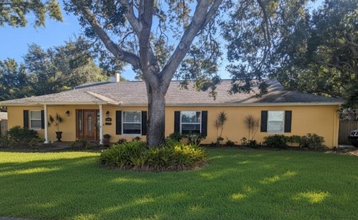 Maison à Tampa, Floride, États-Unis 1