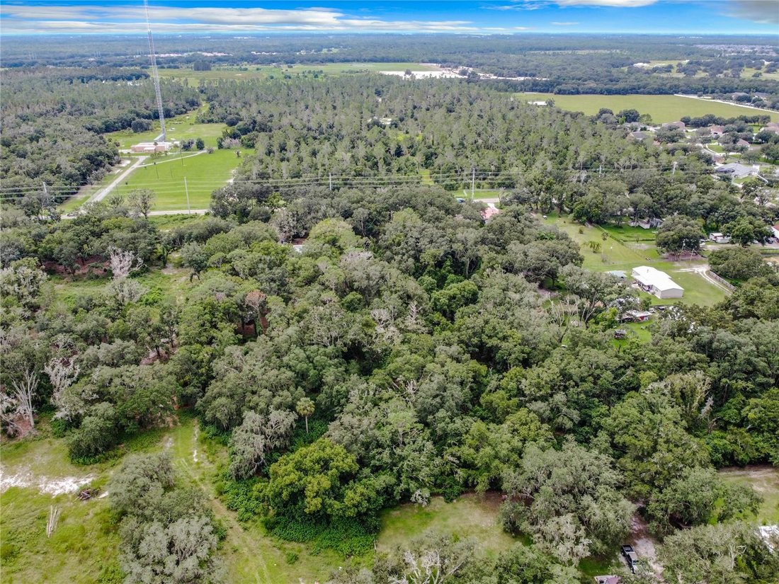 House in Riverview, Florida, United States 5 - 17186754