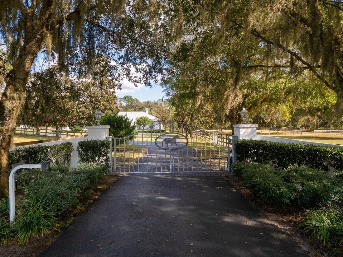 Land in Ocala, Florida, United States 3 - 17180858