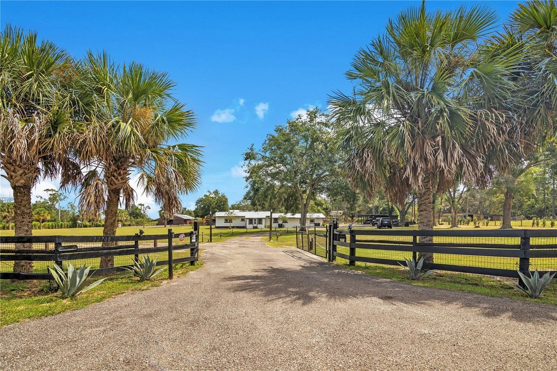 Azienda agricola a Sorrento, Florida, Stati Uniti 1 - 17181243