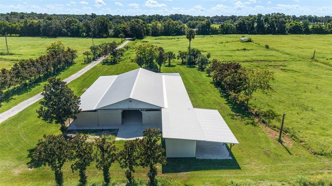 Farm Ranch in Belleview, Florida, United States 3 - 17179738