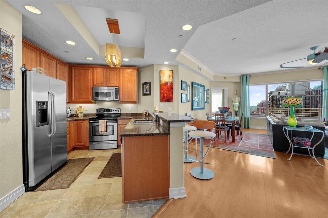 Condo in Tampa, Florida, United States 4 - 17180519