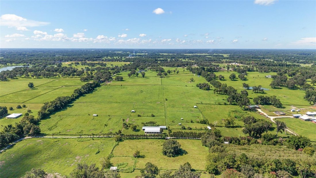 Farm Ranch in Belleview, Florida, United States 1 - 17179738