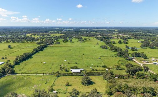 Land in Belleview, Florida, United States 1