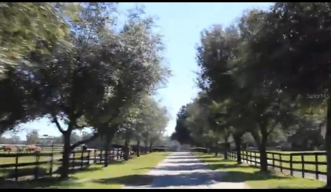 House in Reddick, Florida, United States 5 - 17178357