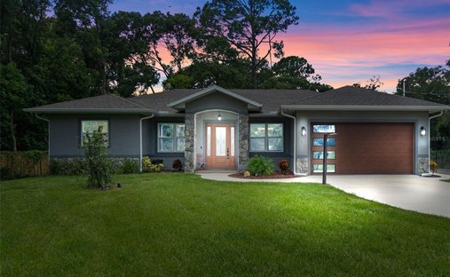 House in Lake Helen, Florida, United States 1