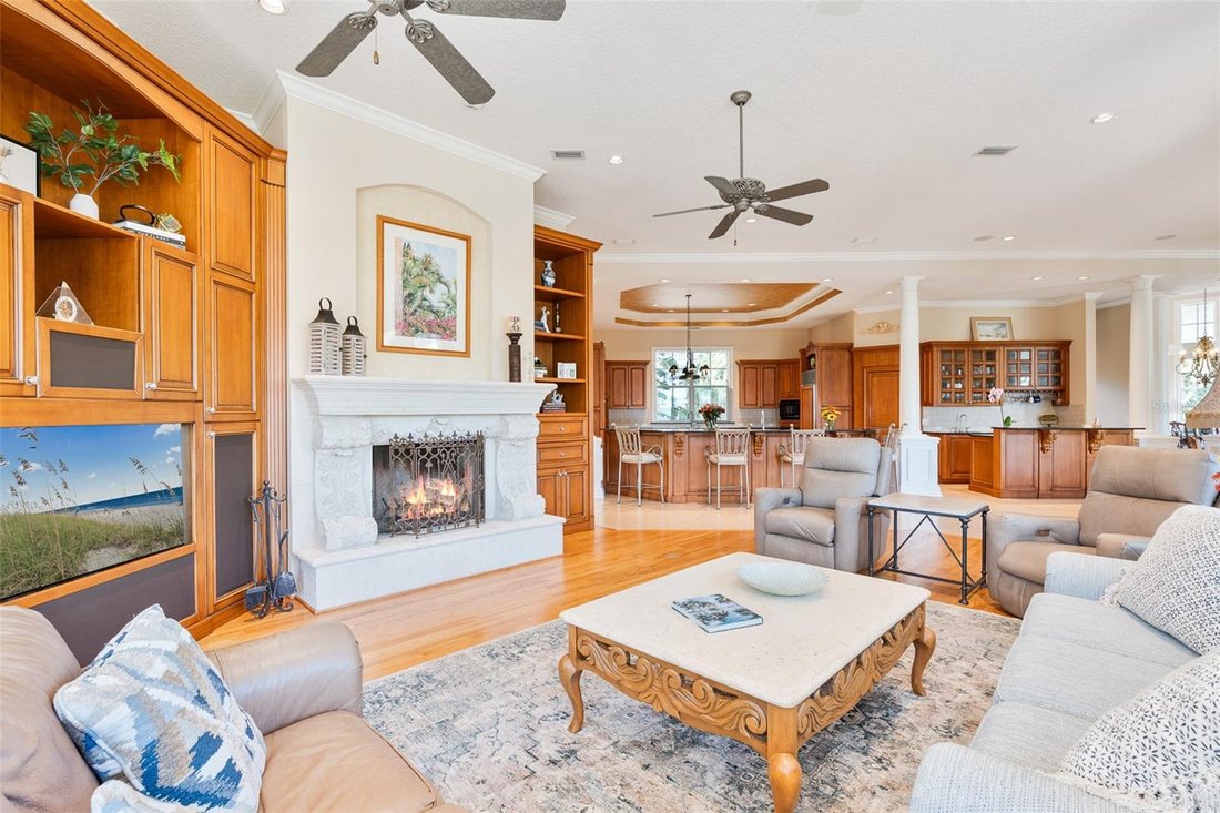 House in Leesburg, Florida, United States 5 - 17179720