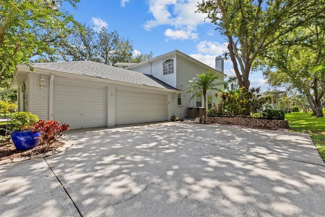 House in Oldsmar, Florida, United States 5 - 17182249