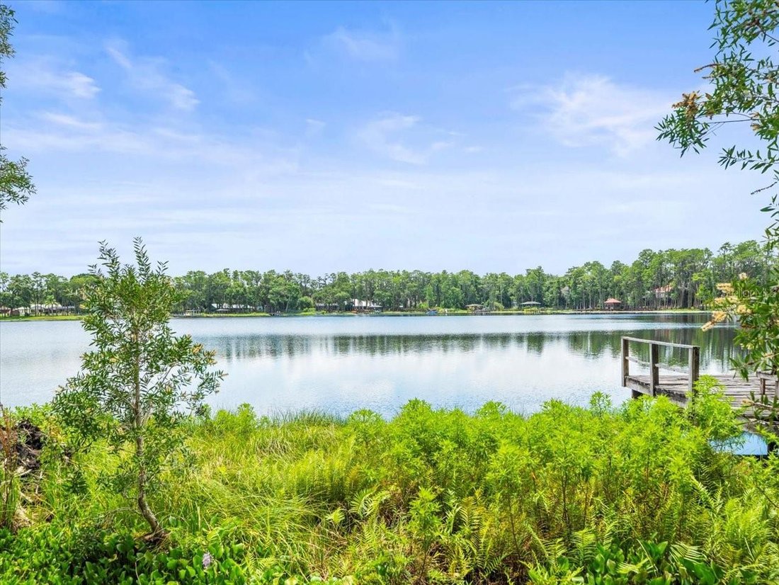 House in Odessa, Florida, United States 3 - 17186165