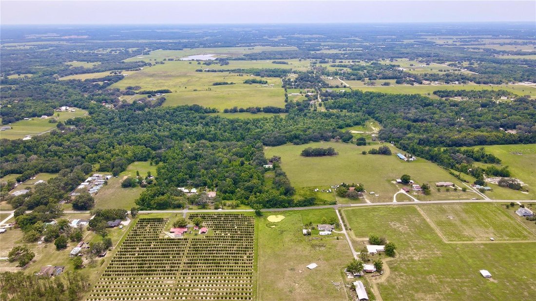 House in Dade City, Florida, United States 2 - 17185834