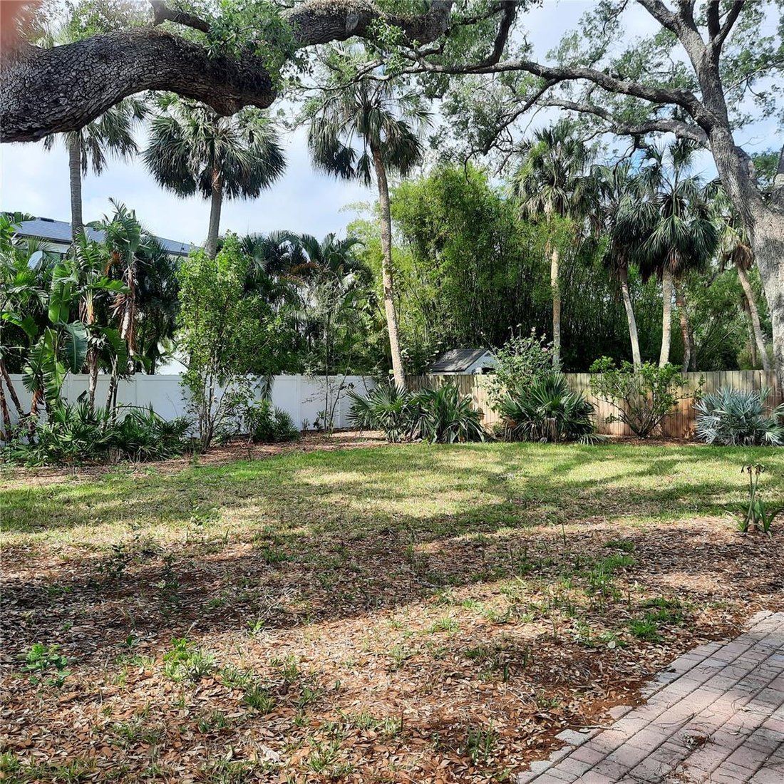 House in Tampa, Florida, United States 4 - 17187388
